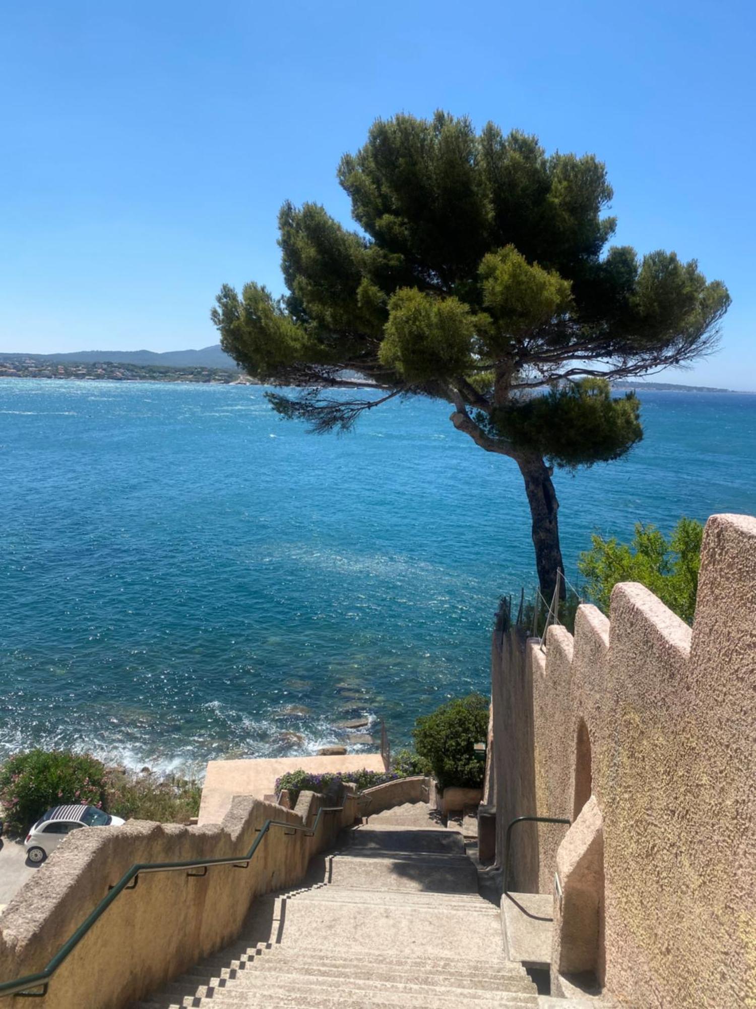 Casa Paloma Sanary-sur-Mer Exterior foto